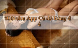 90 nohu app cá độ bóng đá