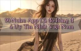 90 nohu app cá độ bóng đá uy tín nhất việt nam