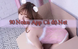 90 nohu app cá độ net
