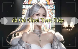 đá gà Chơi trực tiếp