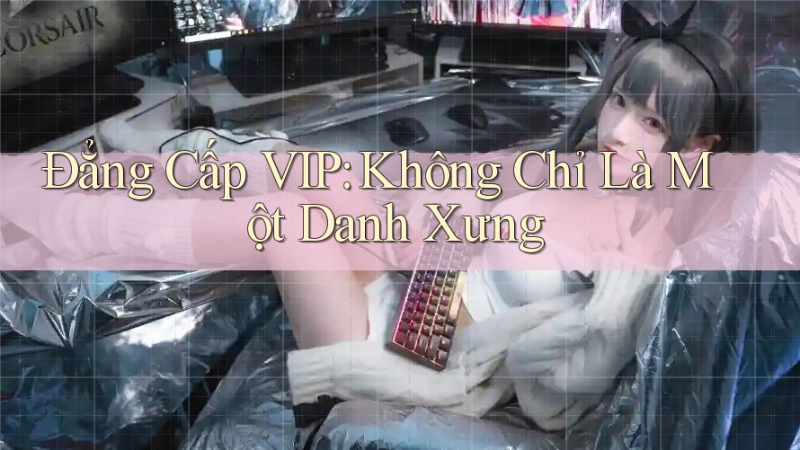 Đẳng Cấp VIP: Không Chỉ Là Một Danh Xưng Đẳng Cấp VIP: Không Chỉ Là Một Danh Xưng