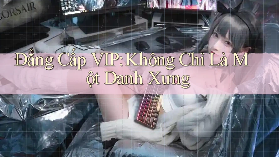 Đẳng Cấp VIP: Không Chỉ Là Một Danh Xưng