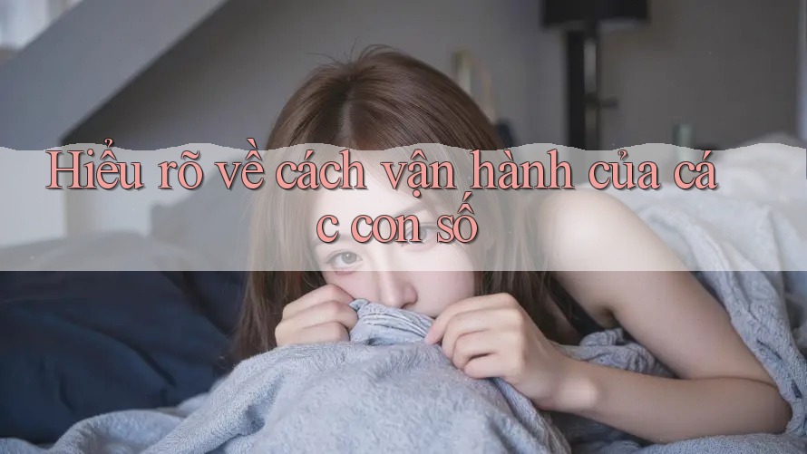 Hiểu rõ về cách vận hành của các con số