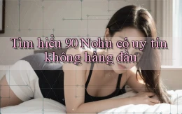tìm hiểu 90 nohu có uy tín không hàng đầu
