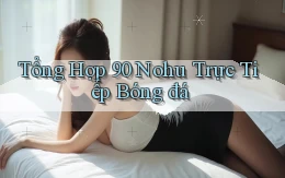 tổng hợp 90 nohu trực tiếp bóng đá