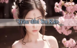 Trận đấu Soi kèo